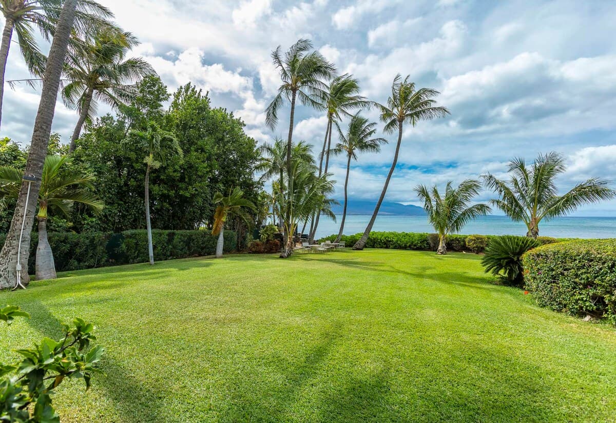 Condo in Wailuku · ★4.82 · 1 bedroom · 2 beds · 1 shared bath - Photo 2