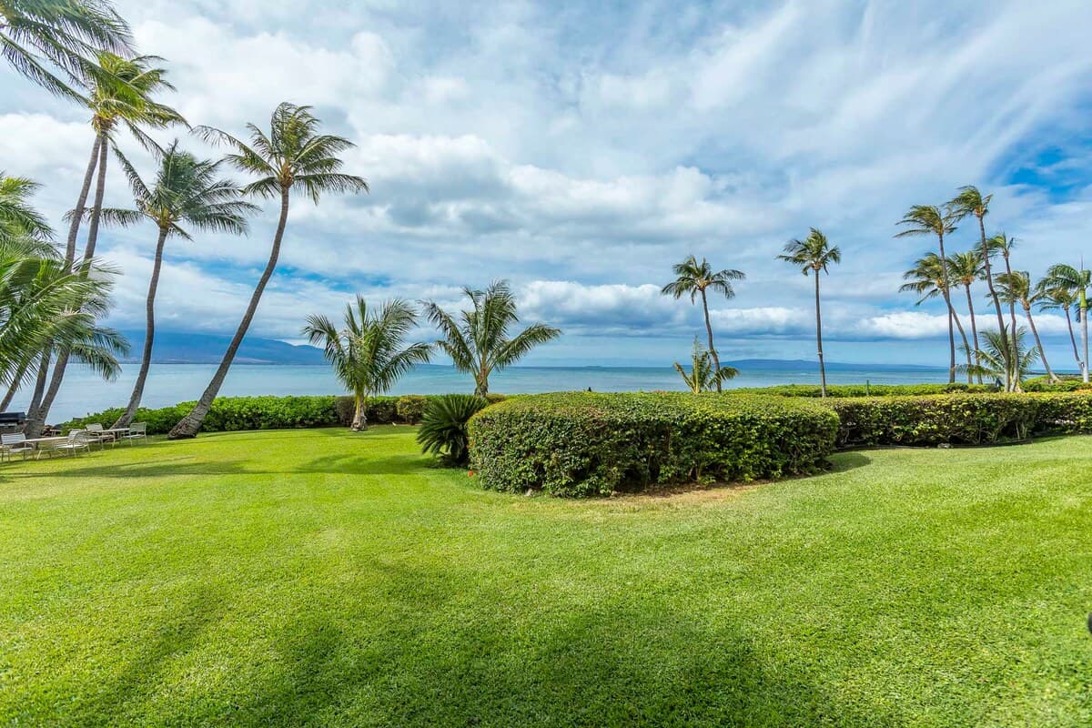 Condo in Wailuku · ★4.82 · 1 bedroom · 2 beds · 1 shared bath - Photo 4