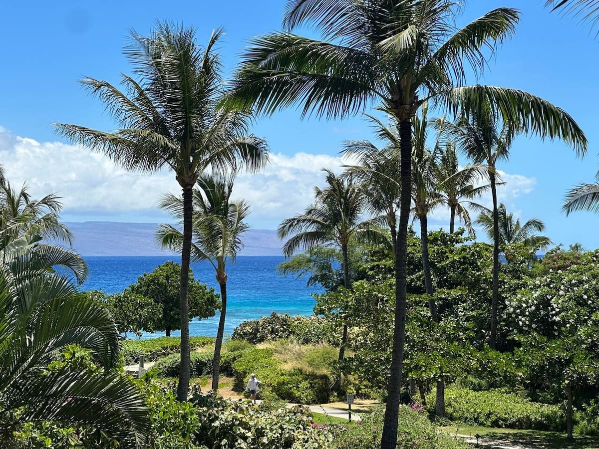 Condo in Lahaina · ★4.91 · 1 bedroom · 2 beds · 1 bath - Photo 4