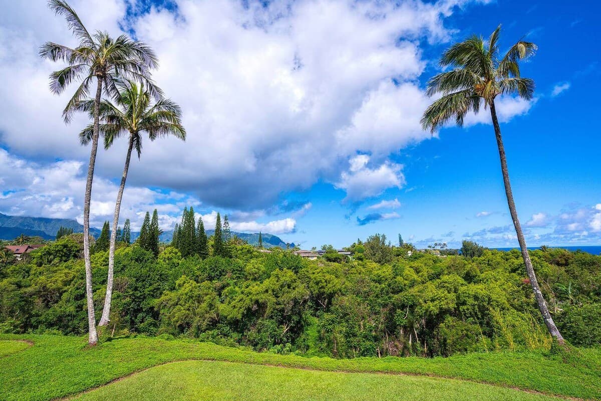 Condo in Princeville · ★4.94 · 2 bedrooms · 2 beds · 2 private baths - Photo 3