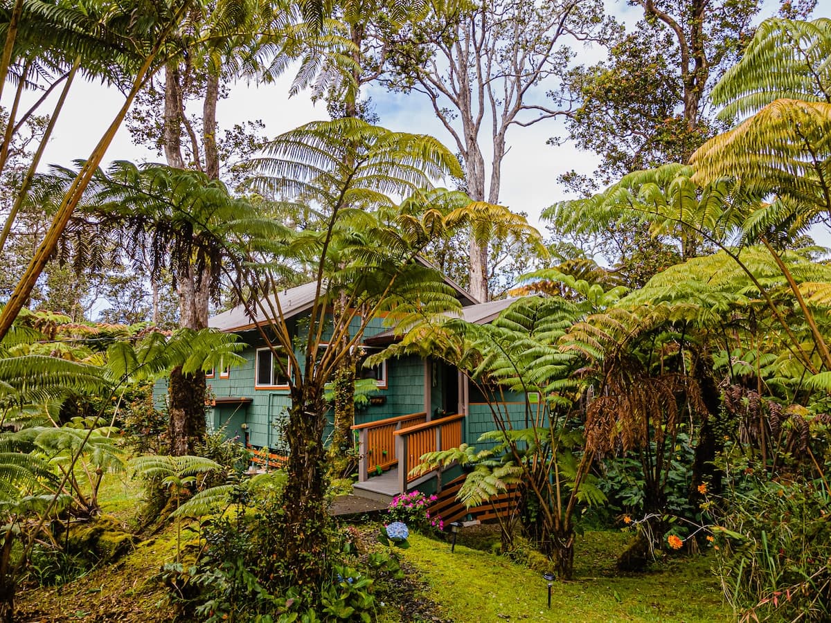 Home in Volcano · ★4.9 · 1 bedroom · 1 bed · 1 bath - Photo 1