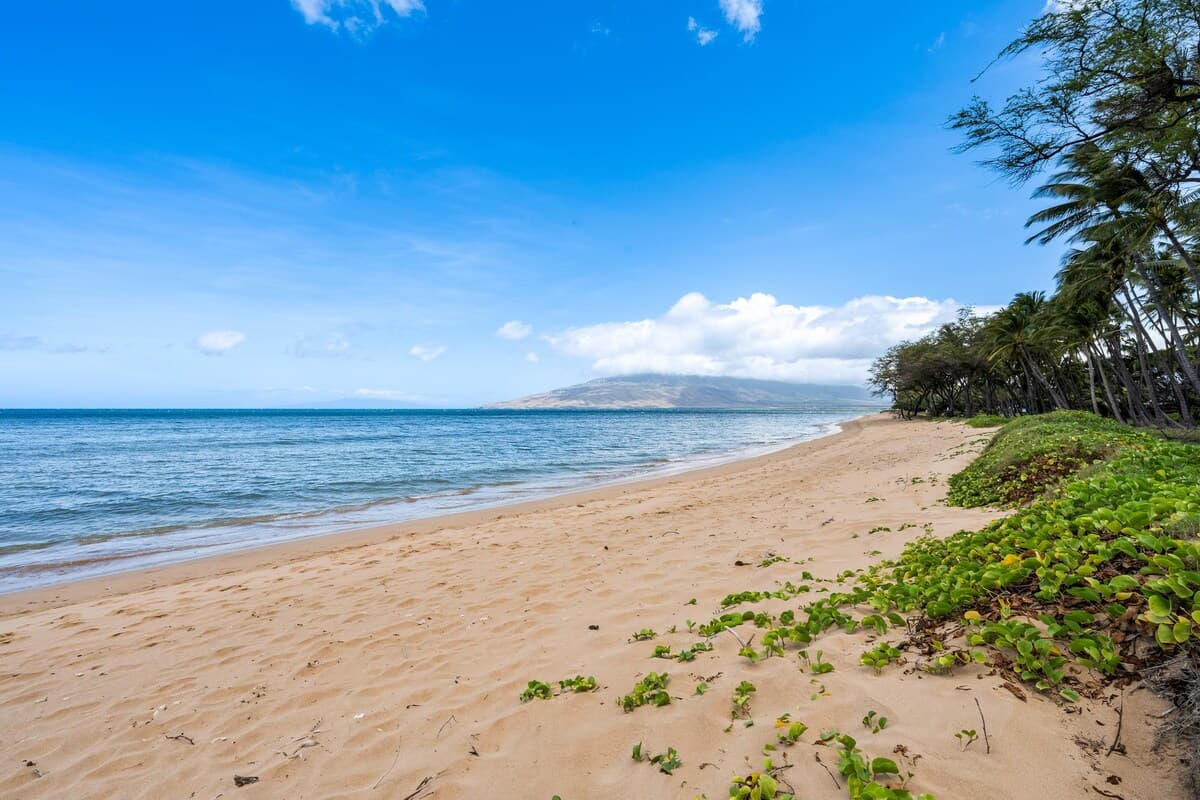 Condo in Kihei · ★4.91 · 2 bedrooms · 3 beds · 2 private baths - Photo 5
