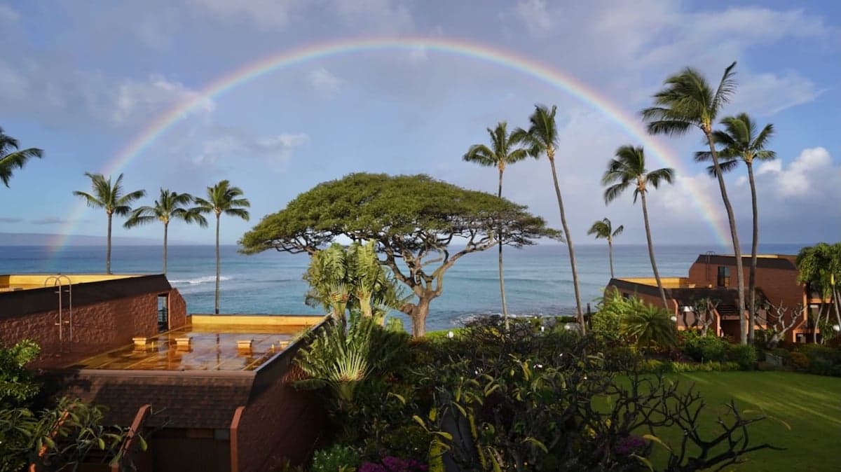 Condo in Lahaina · ★4.86 · 1 bedroom · 2 beds · 1 private bath - Photo 1