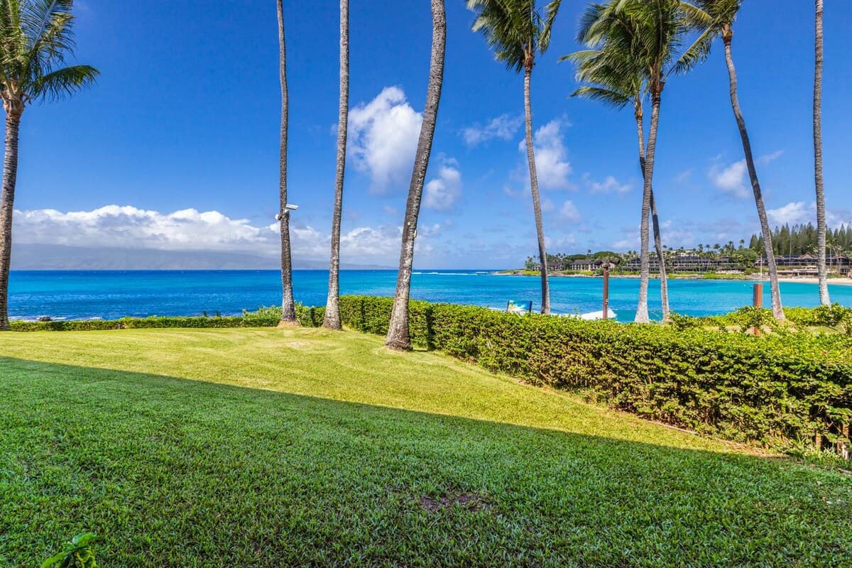 Breathtaking Oceanfront Studio Napili Shores A106 - Photo 4