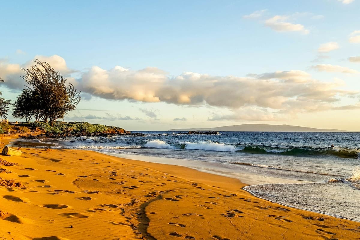 Condo in Kihei · ★4.77 · 1 bedroom · 2 beds · 1 shared bath - Photo 3