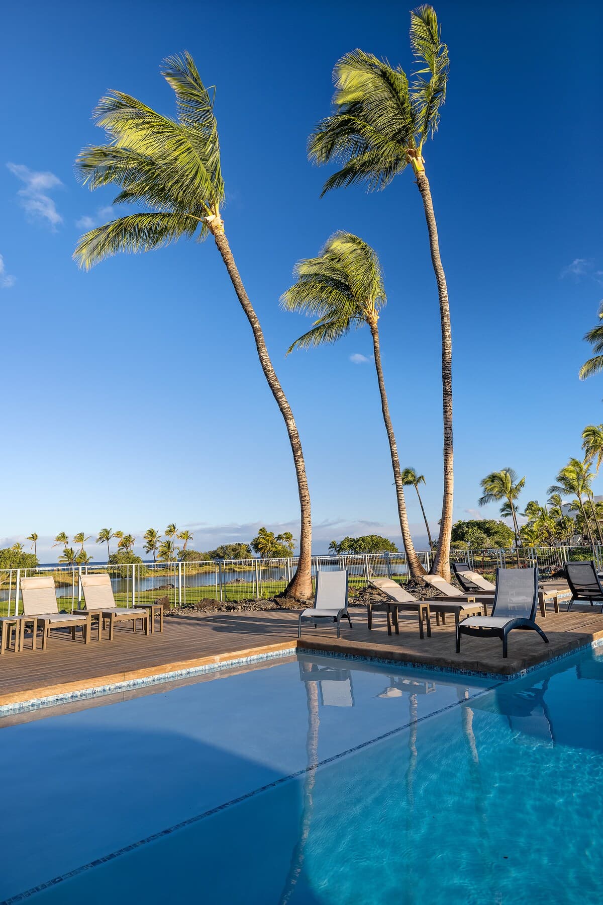 Condo in Waimea · ★5.0 · 2 bedrooms · 3 beds · 2.5 baths - Photo 4