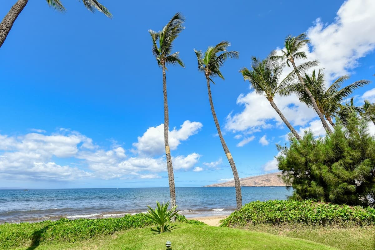 Sugar Beach Resort 135: 1BR Oceanfront | Pool - Photo 2