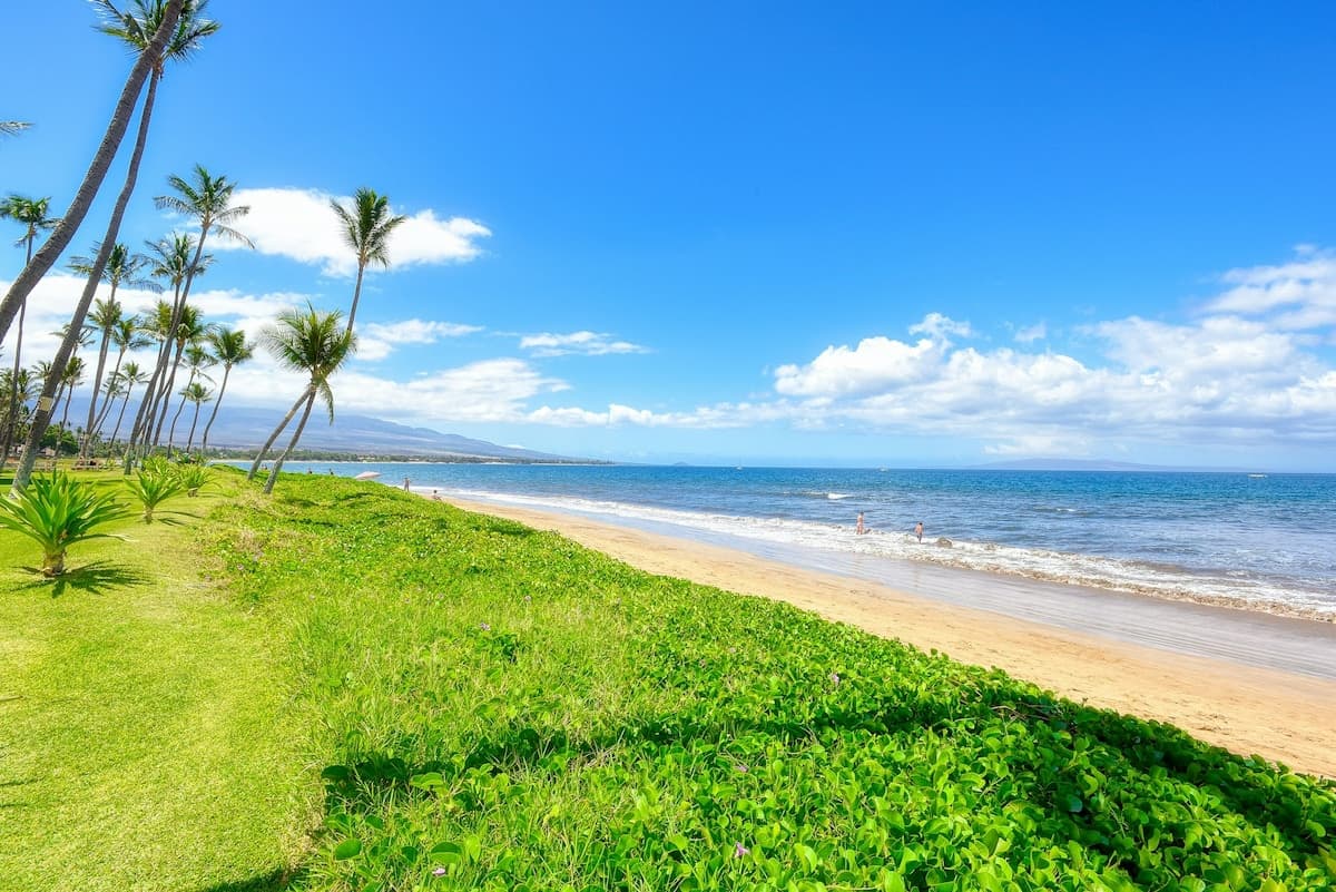 Condo in Kihei · ★4.89 · 2 bedrooms · 3 beds · 2 shared baths - Photo 5