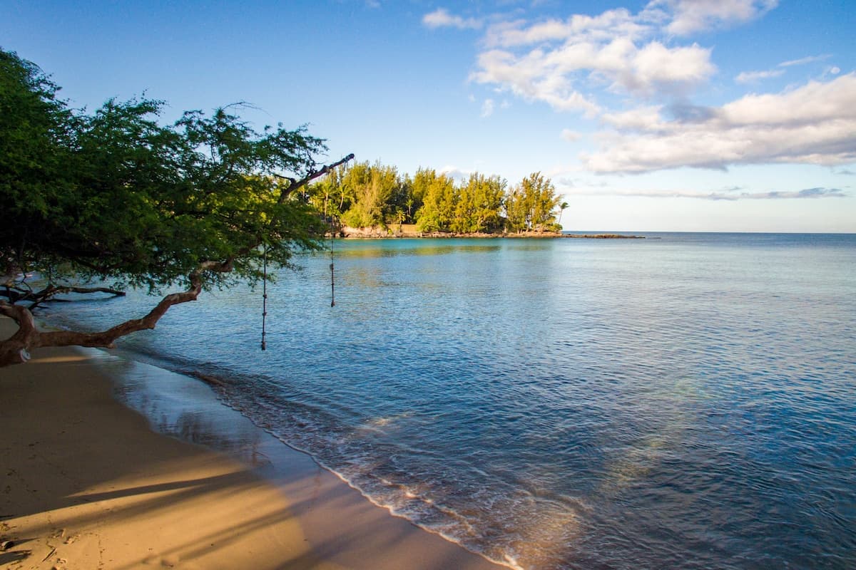 Home in Waimea · ★5.0 · 4 bedrooms · 8 beds · 4.5 baths - Photo 5