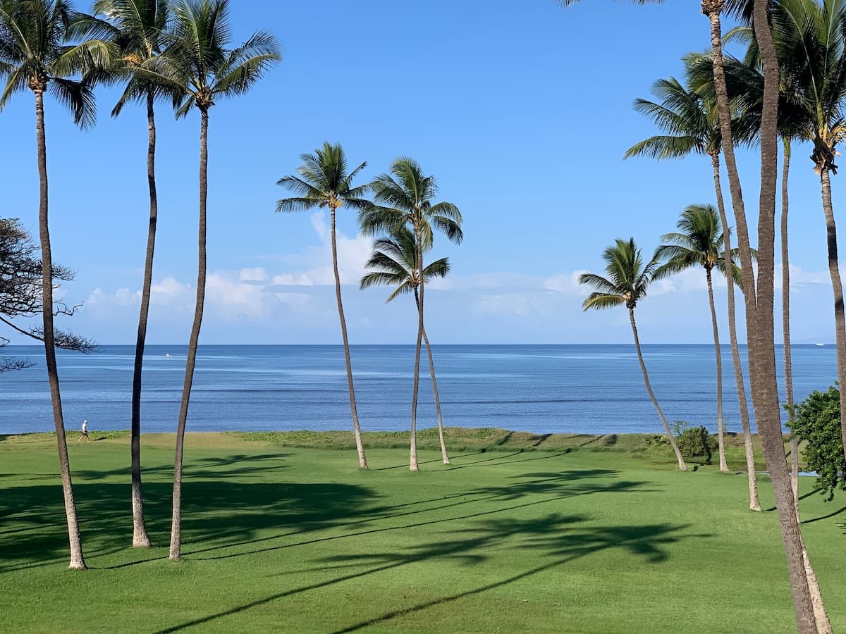 Condo in Kihei · ★5.0 · 1 bedroom · 2 beds · 1 private bath - Photo 2