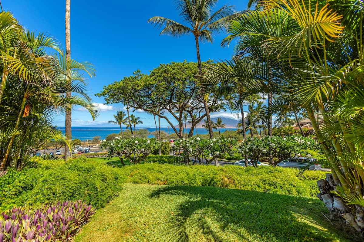 Condo in Kihei · ★4.91 · 1 bedroom · 2 beds · 2 private baths - Photo 1