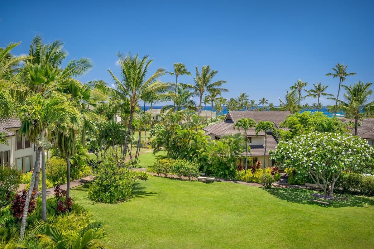 Condo in Koloa · ★4.53 · 1 bedroom · 1 bed · 1 bath - Photo 5