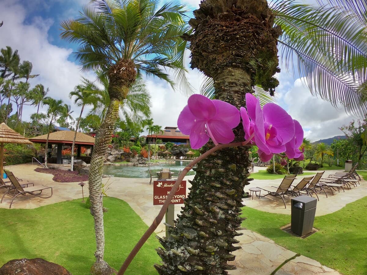 Condo in Princeville · ★4.87 · 1 bedroom · 2 beds · 1 private bath - Photo 5