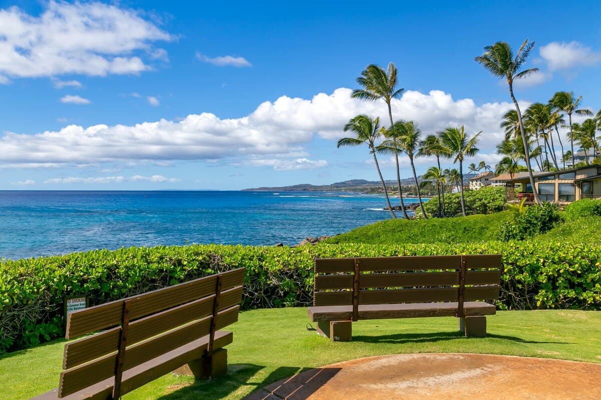 Home in Koloa · ★4.87 · 3 bedrooms · 4 beds · 3.5 private baths - Photo 5
