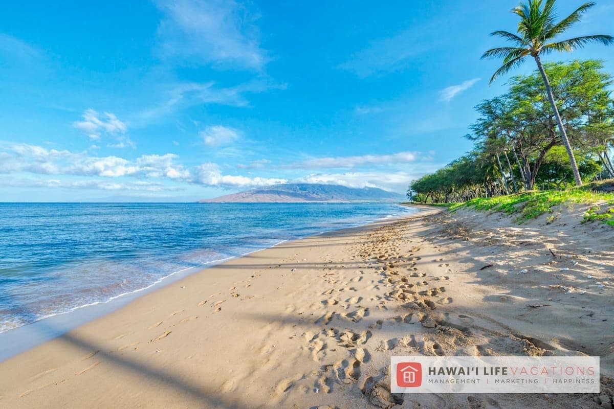 Condo in Kihei · ★4.96 · 1 bedroom · 2 beds · 1 private bath - Photo 5