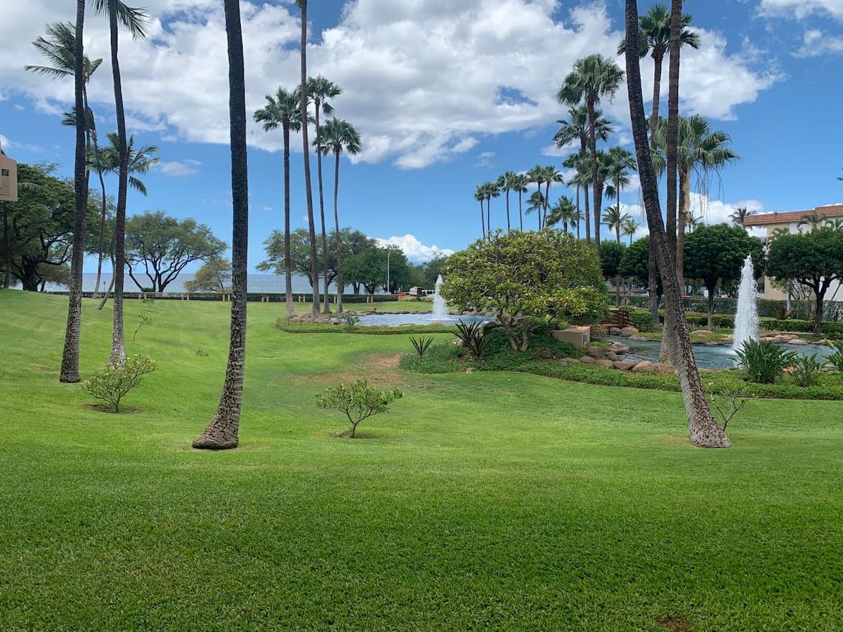 Home in Kihei · ★5.0 · 2 bedrooms · 2 beds · 2 baths - Photo 3