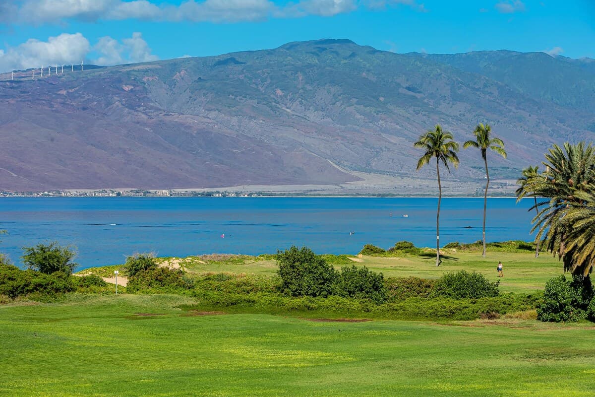 Condo in Kihei · ★4.86 · 2 bedrooms · 4 beds · 2 shared baths - Photo 4