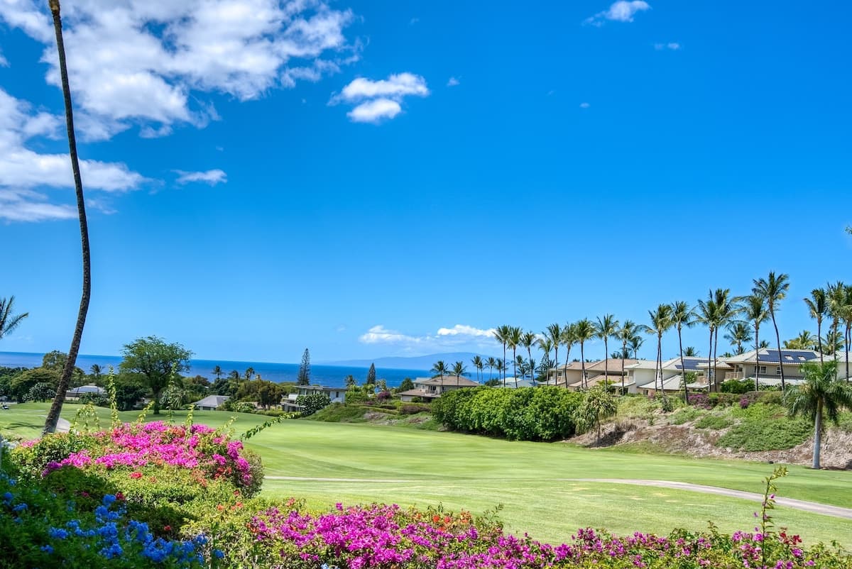 Condo in Wailea · ★5.0 · 1 bedroom · 2 beds · 2 private baths - Photo 1