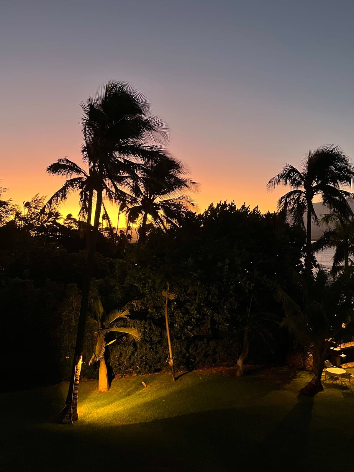 Condo in Wailuku · ★4.92 · 1 bedroom · 2 beds · 1 private bath - Photo 4