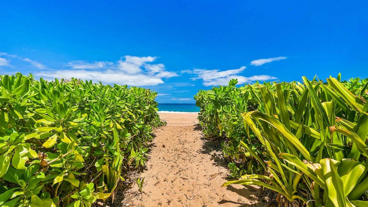 Home in Anahola · ★4.91 · 4 bedrooms · 6 beds · 4 baths - Photo 4