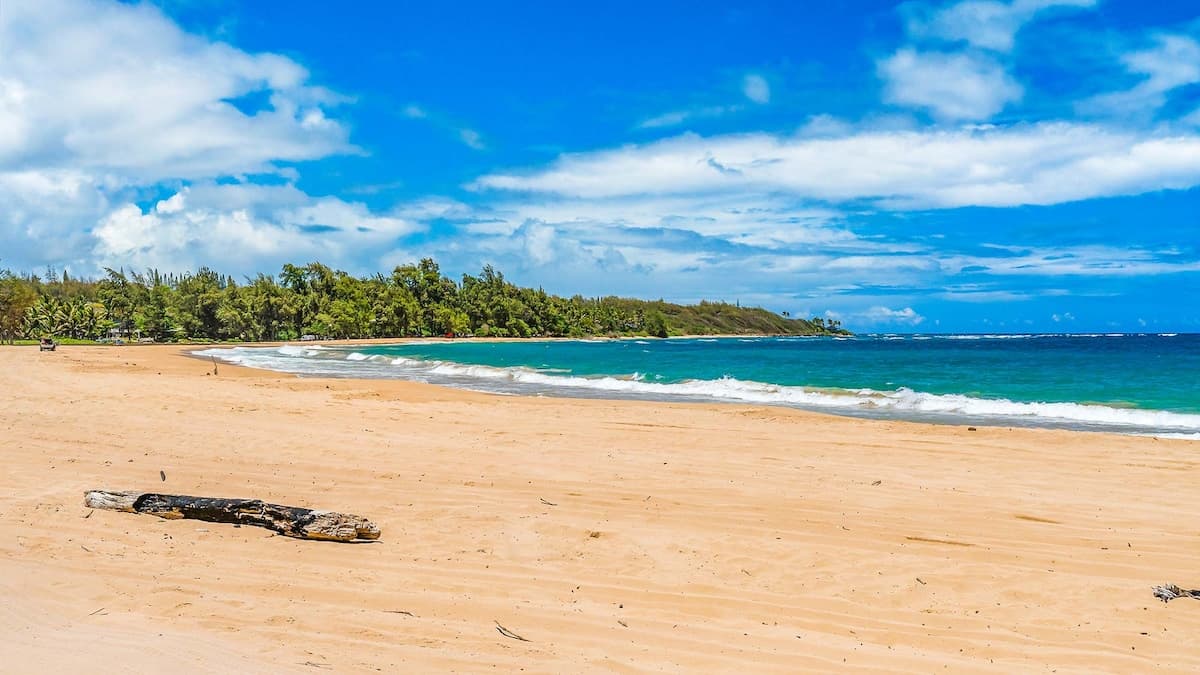 Home in Anahola · ★4.91 · 4 bedrooms · 6 beds · 4 baths - Photo 5