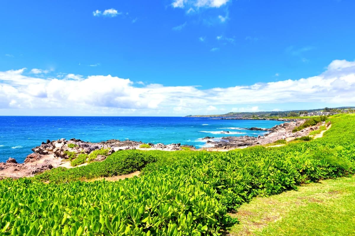 Condo in Lahaina · ★4.75 · 1 bedroom · 2 beds · 1 bath - Photo 1