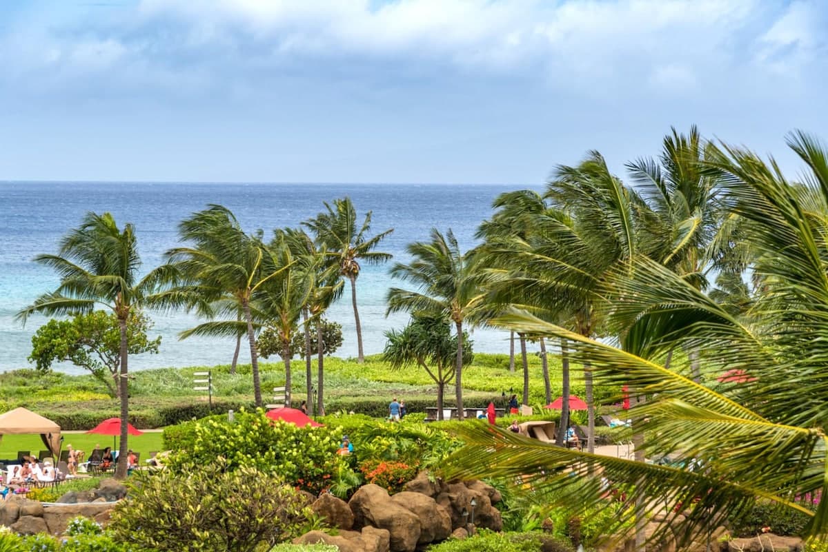 Condo in Lahaina · ★4.83 · 2 bedrooms · 3 beds · 1 bath - Photo 1