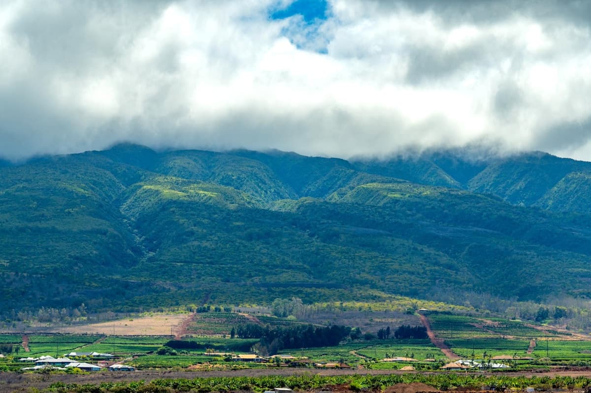 Condo in Lahaina · ★4.6 · 2 bedrooms · 3 beds · 2 baths - Photo 2