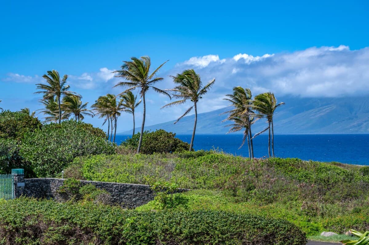 Condo in Lahaina · ★4.6 · 2 bedrooms · 4 beds · 3 baths - Photo 3