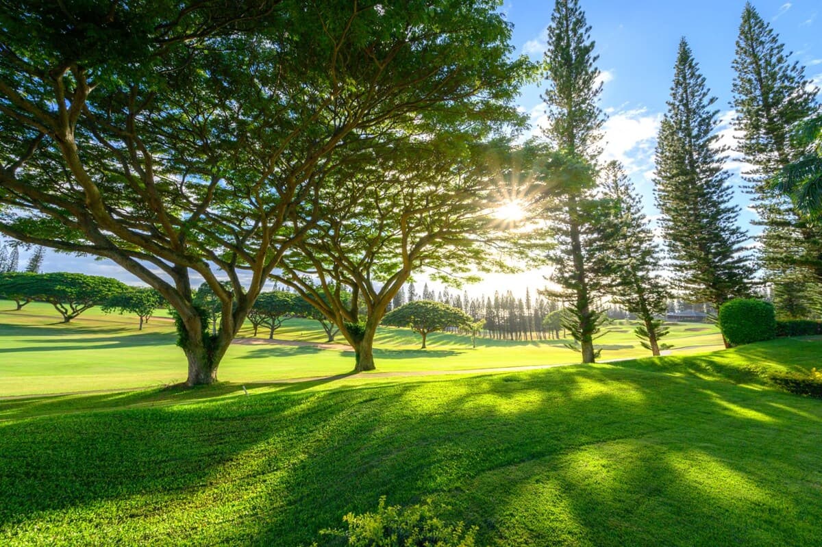 Condo in Lahaina · ★4.67 · 2 bedrooms · 3 beds · 2 baths - Photo 1