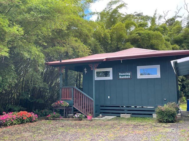 Dancing Bamboo Cottage Cozy Getaway Near HVNP - Photo 3