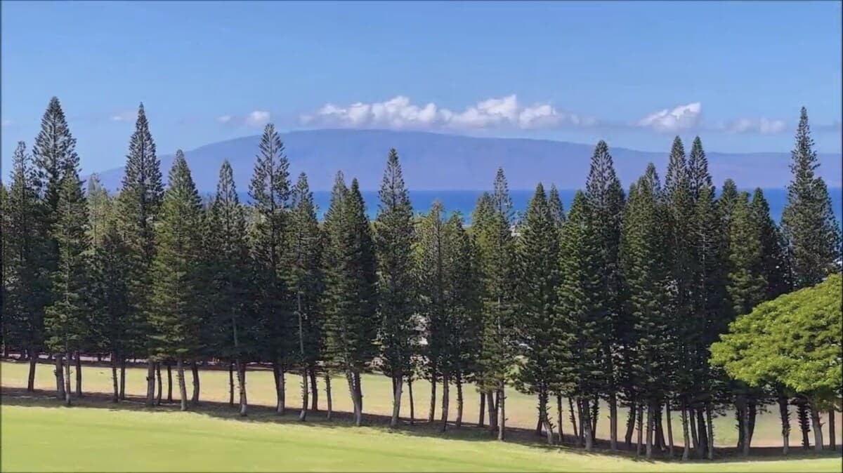Condo in Lahaina · ★4.82 · 1 bedroom · 2 beds · 1.5 baths - Photo 3