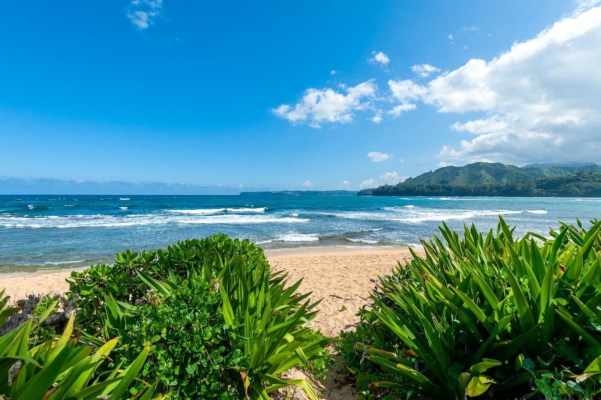 Condo in Hanalei · ★4.68 · 2 bedrooms · 2 beds · 2 baths - Photo 2