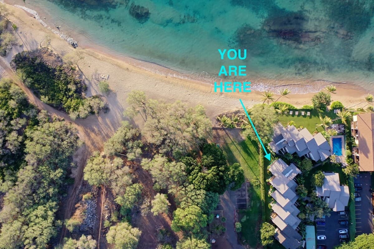 Condo in Wailuku · ★4.98 · 2 bedrooms · 4 beds · 2 private baths - Photo 3