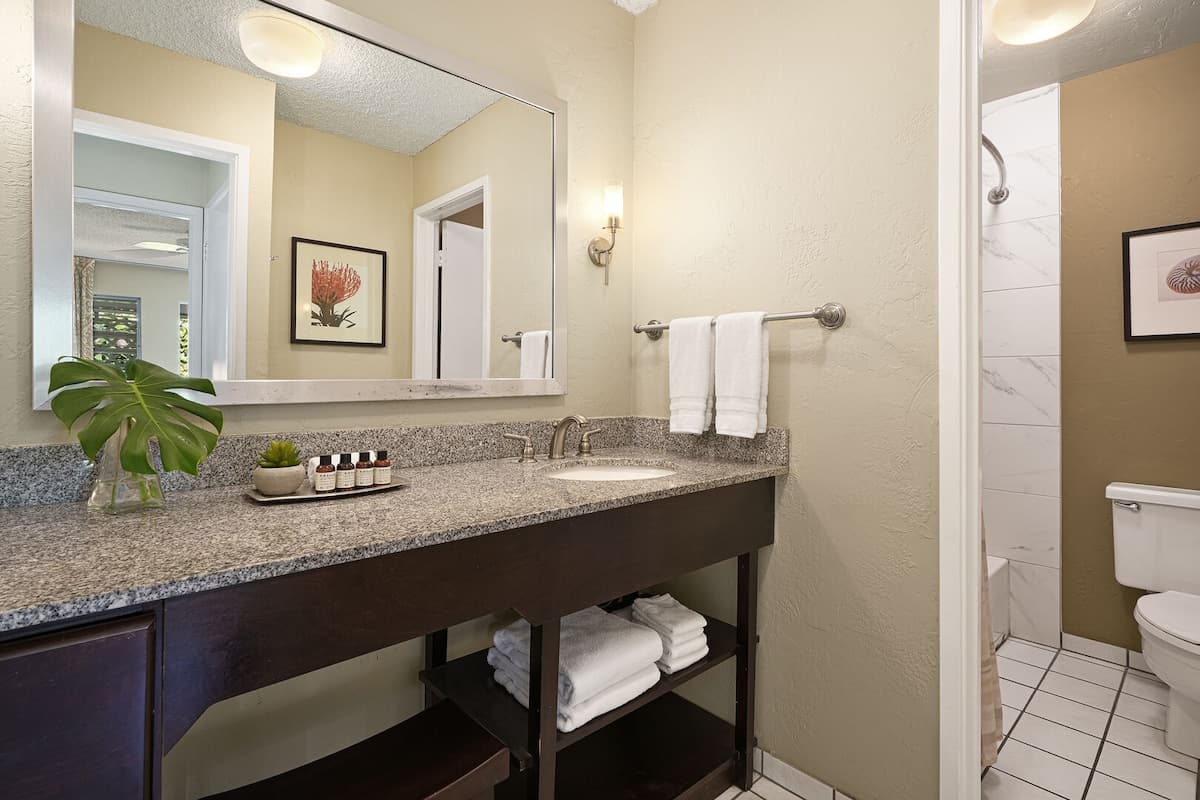 Condo in Kapaa · ★4.25 · 1 bedroom · 1 bed · 1 bath - Photo 5