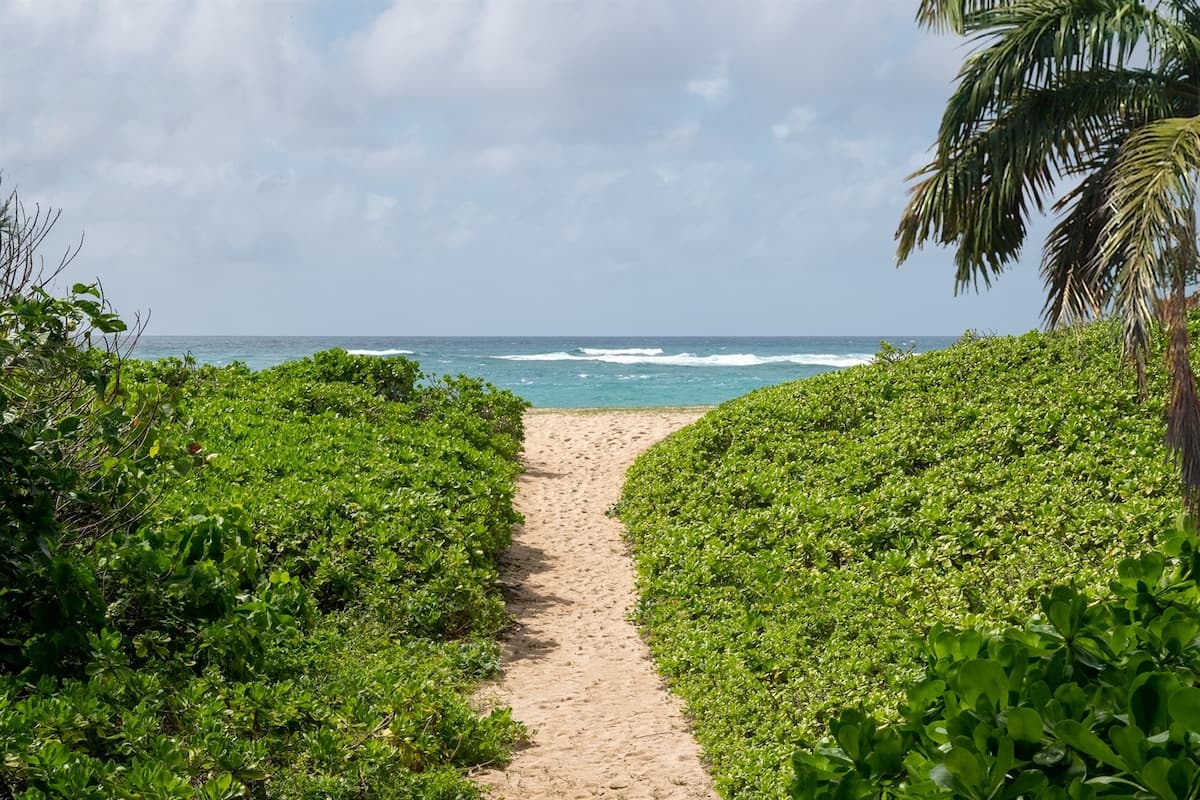 Home in Kahuku · ★4.97 · 7 bedrooms · 14 beds · 4 private baths - Photo 3