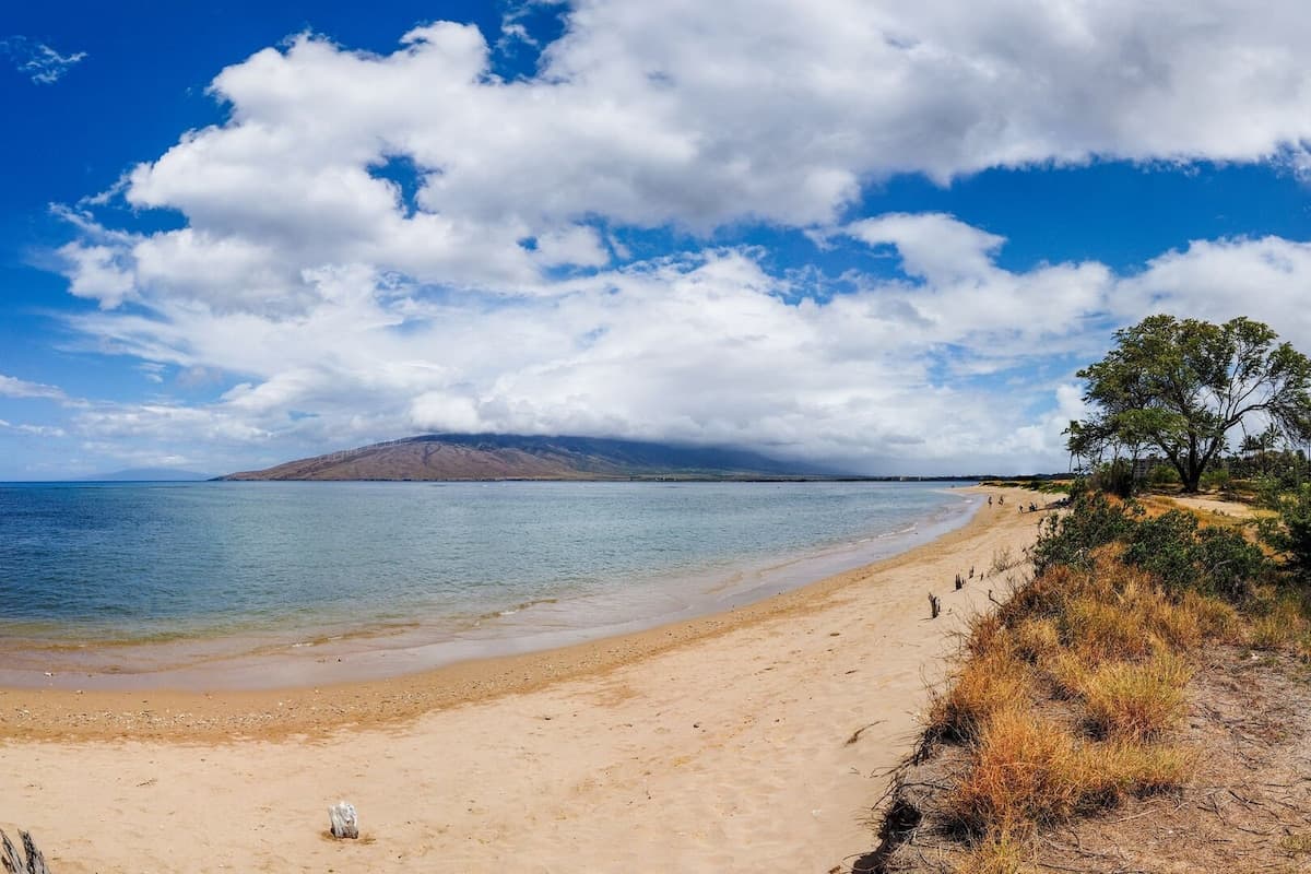 Condo in Kihei · ★4.9 · 1 bedroom · 2 beds · 1 private bath - Photo 2