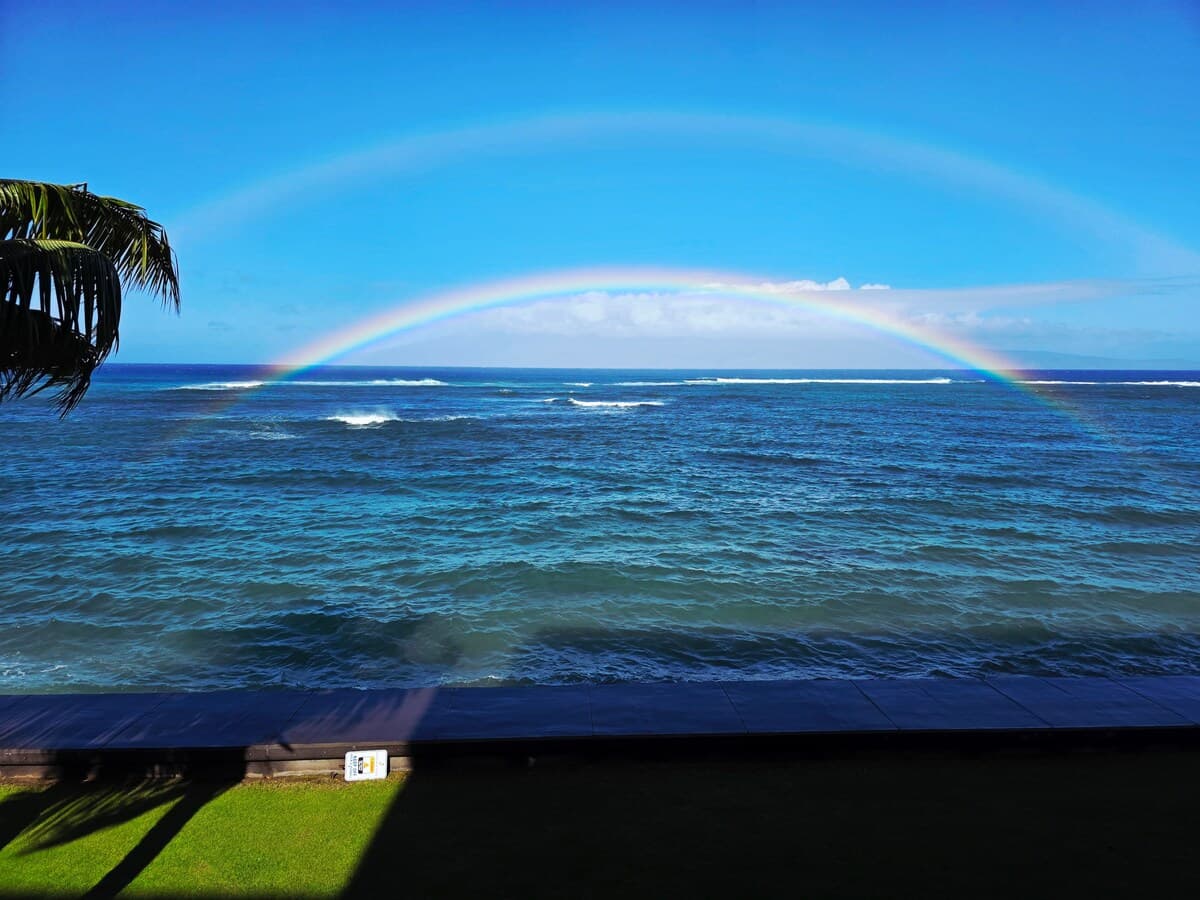 Condo in Lahaina · ★4.79 · 1 bedroom · 2 beds · 1 shared bath - Photo 5