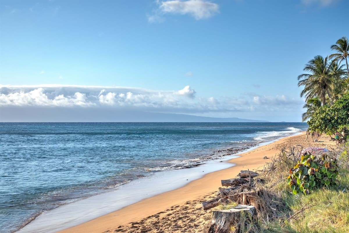 Condo in Lahaina · ★4.96 · 1 bedroom · 2 beds · 1 bath - Photo 4