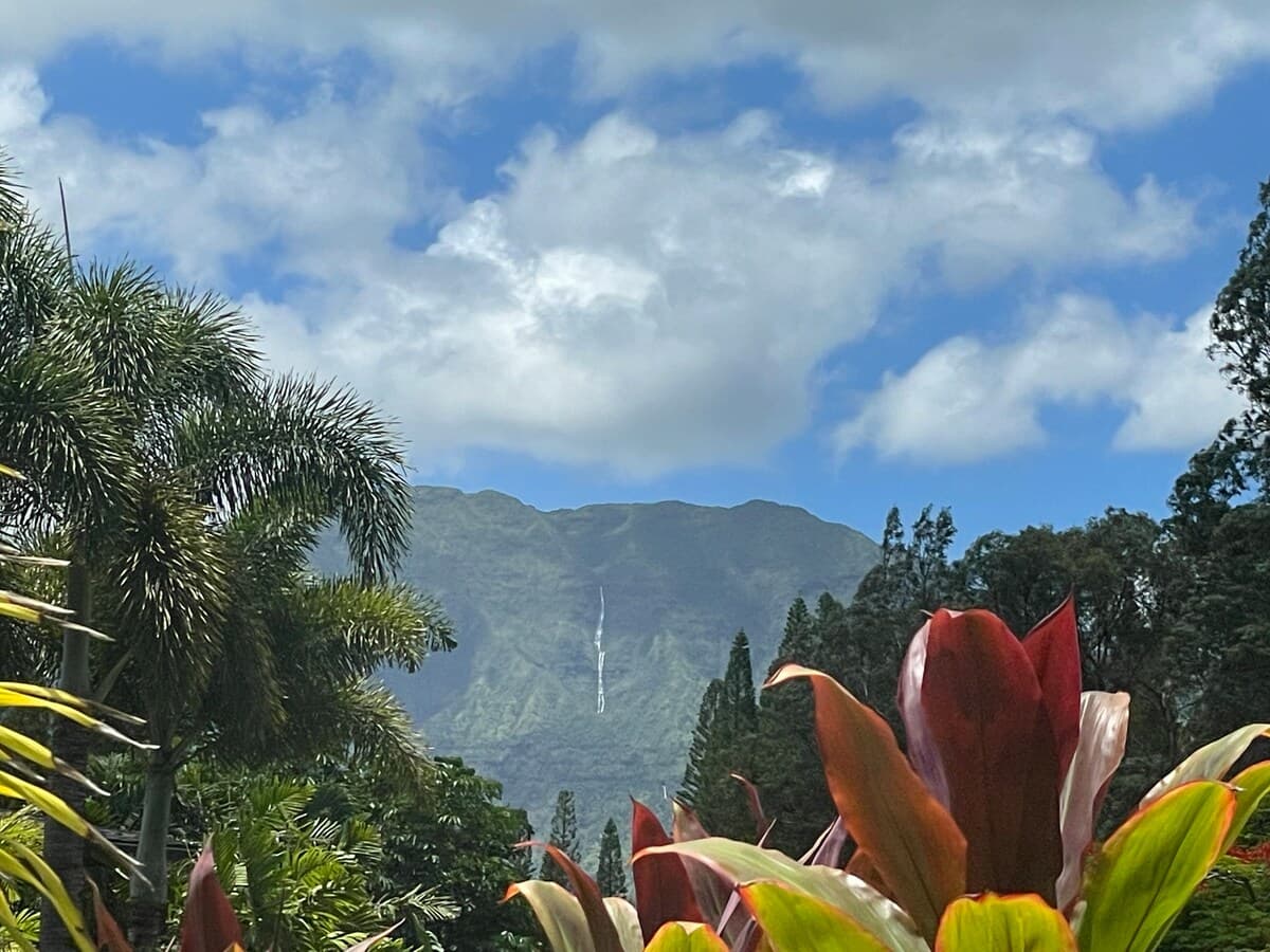 Home in Princeville · ★4.94 · 2 bedrooms · 2 beds · 2 baths - Photo 5