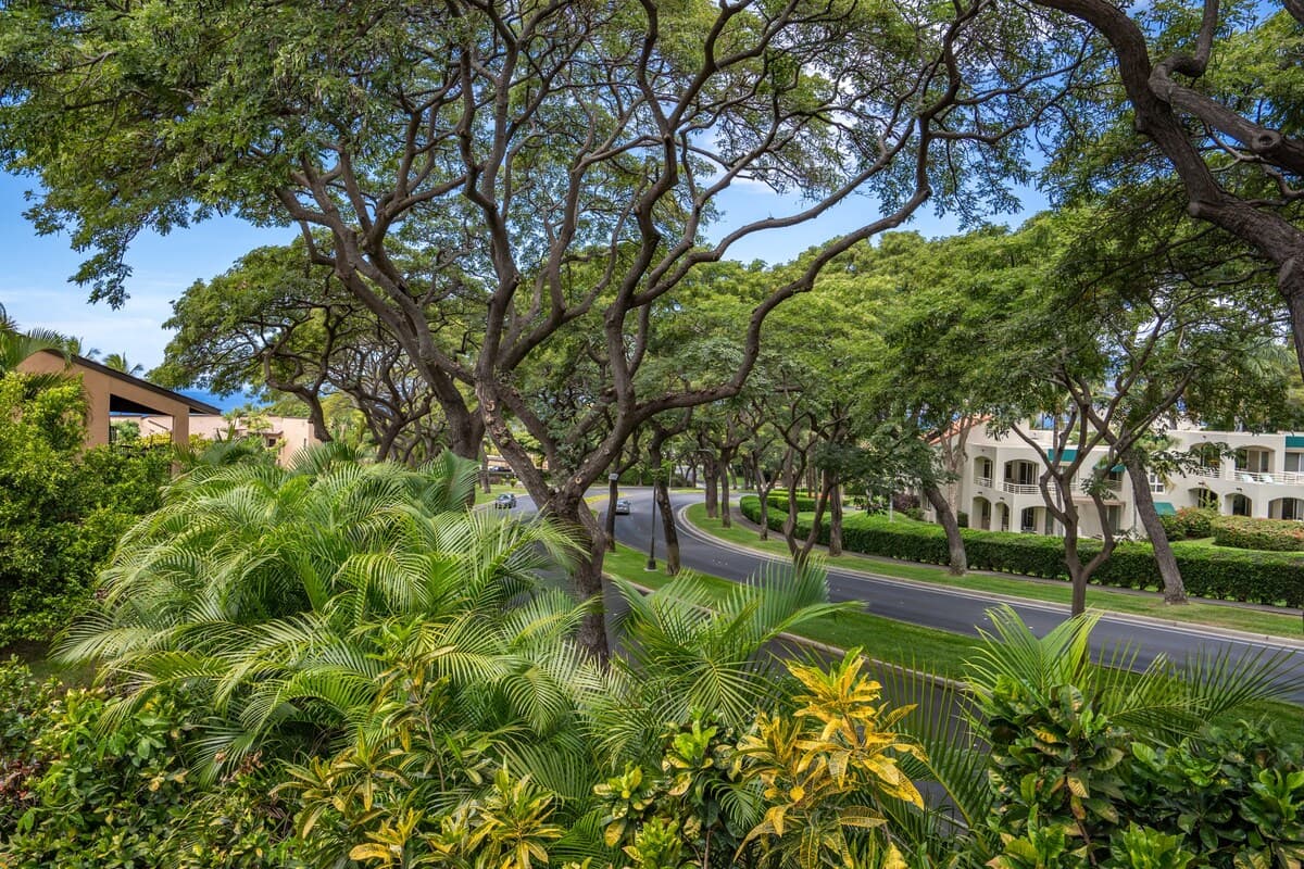 Condo in Kihei · ★4.59 · 1 bedroom · 2 beds · 2 baths - Photo 3