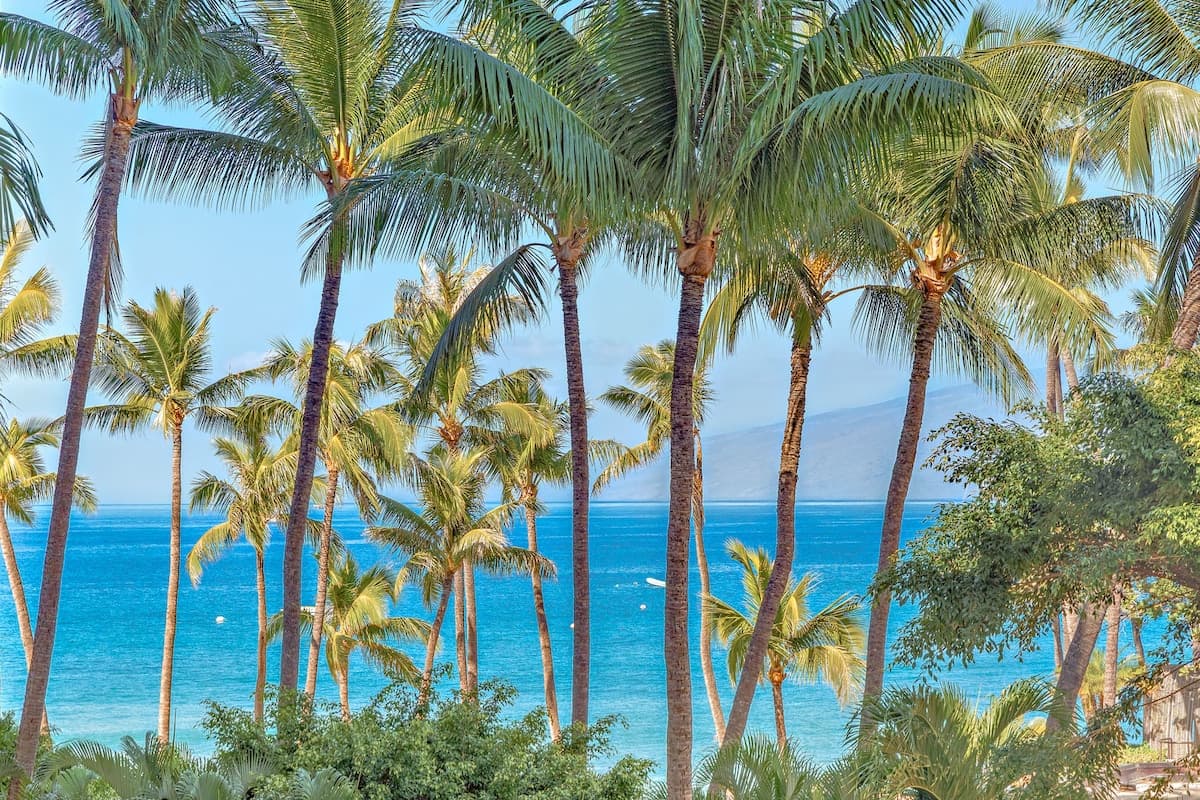 Condo in Lahaina · ★4.89 · 2 bedrooms · 3 beds · 2 baths - Photo 1