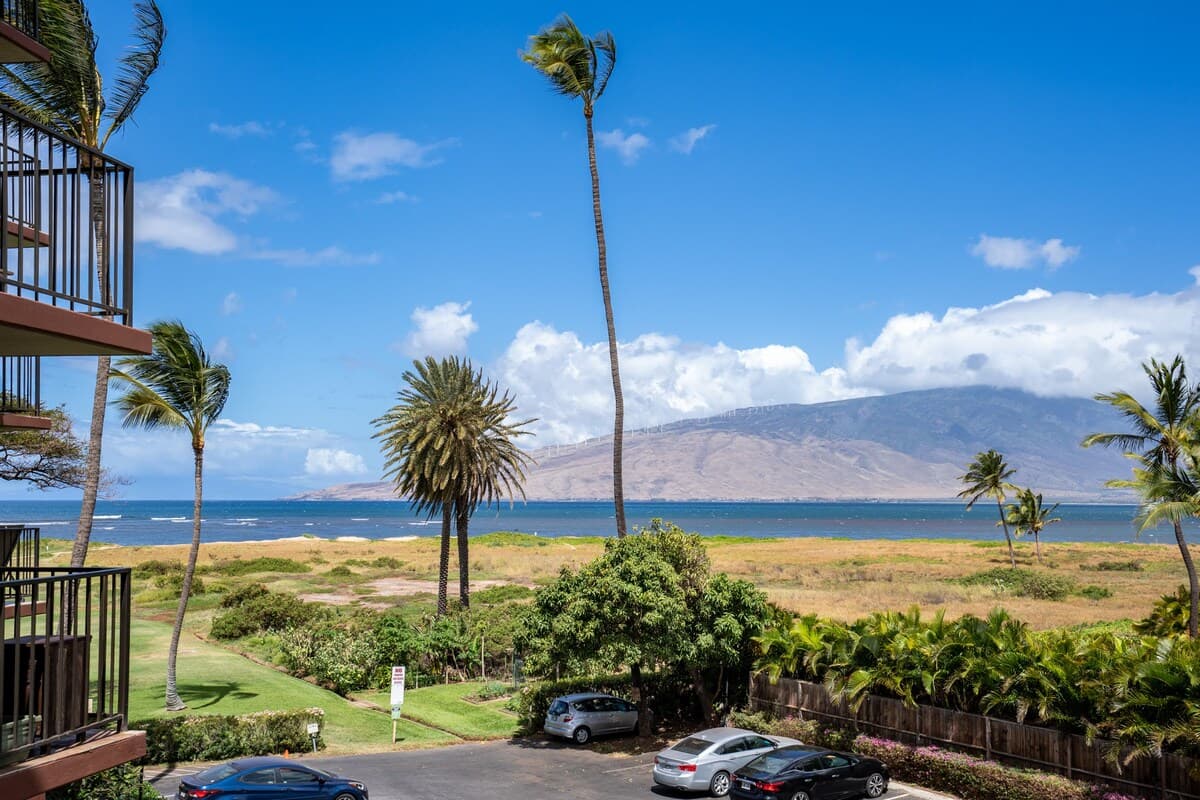 Condo in Kihei · ★4.75 · 1 bedroom · 2 beds · 1 shared bath - Photo 3