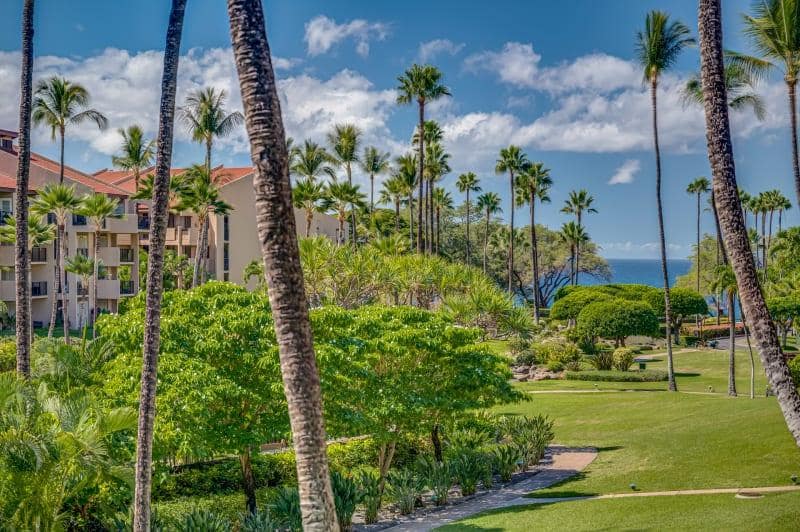 Condo in Kihei · ★4.8 · 2 bedrooms · 3 beds · 2 shared baths - Photo 1