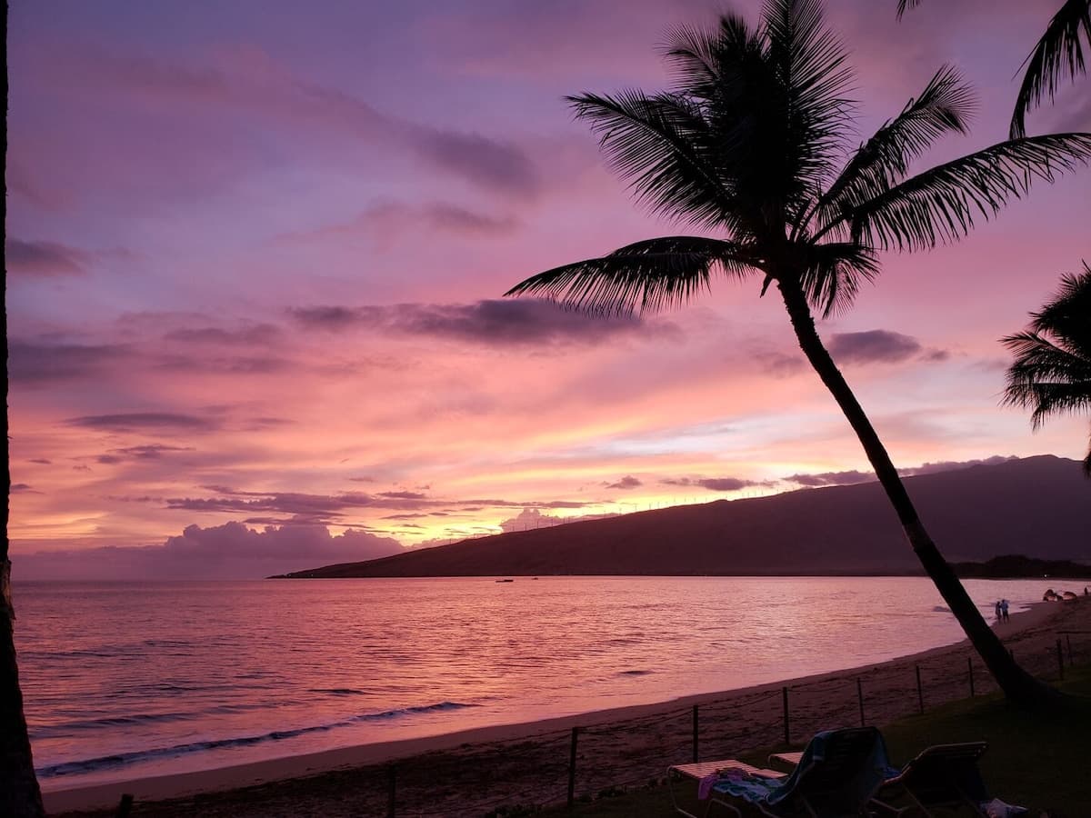 Condo in Kihei · ★4.55 · 1 bedroom · 2 beds · 1 bath - Photo 4