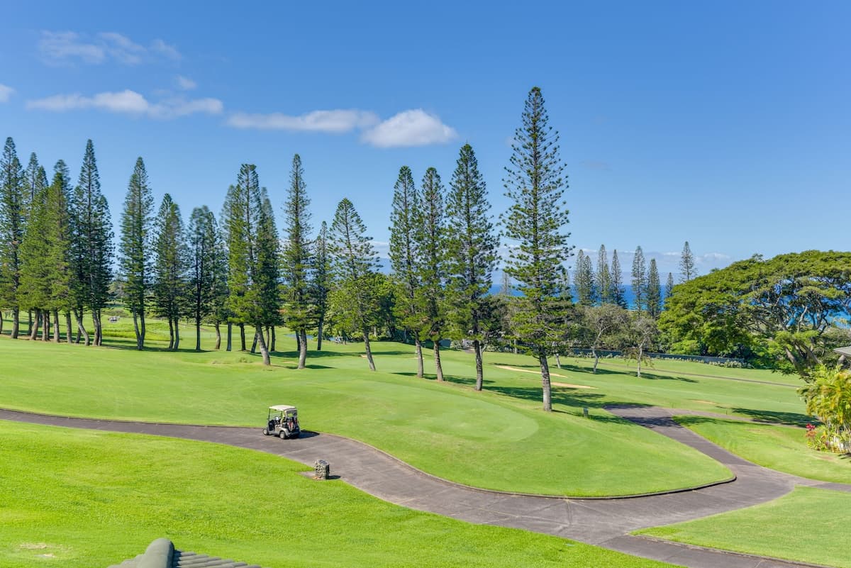 Condo in Lahaina · ★4.83 · 1 bedroom · 2 beds · 2 baths - Photo 3