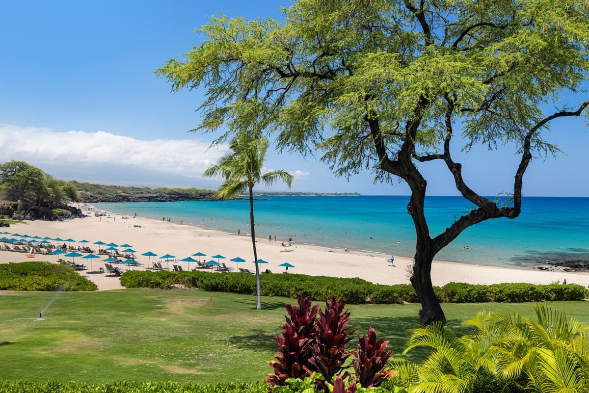 Condo in Waimea · ★5.0 · 2 bedrooms · 4 beds · 2 baths - Photo 4