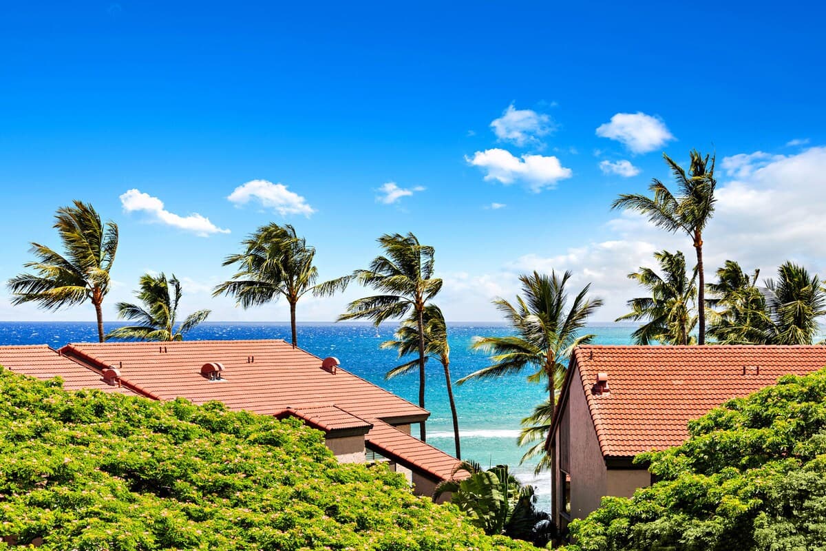 Condo in Lahaina · ★4.91 · 1 bedroom · 2 beds · 1 bath - Photo 5