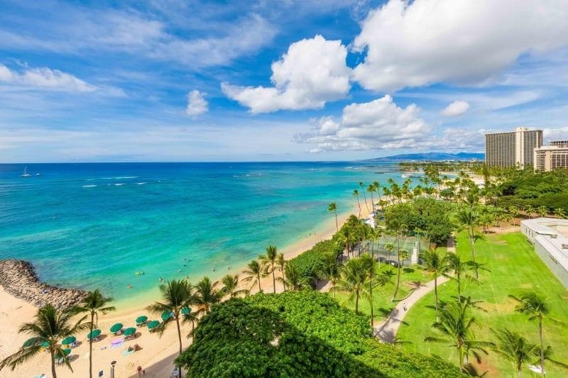 Condo in Honolulu · ★4.89 · 1 bedroom · 3 beds · 1 shared bath - Photo 5