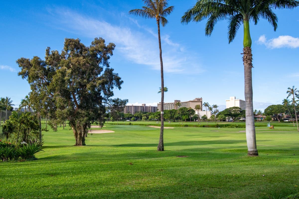 Condo in Lahaina · ★4.77 · 2 bedrooms · 4 beds · 2 private baths - Photo 1
